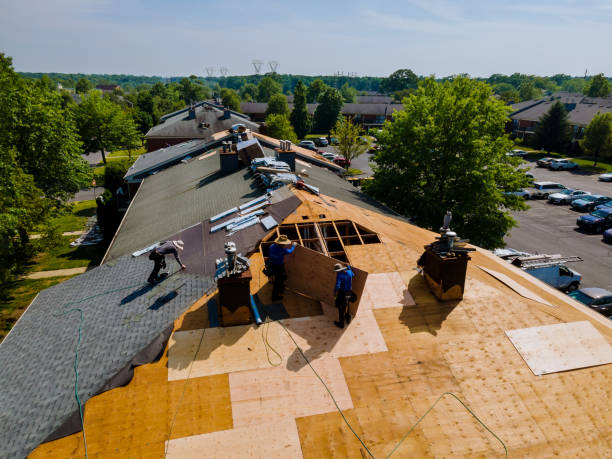 Trusted Storm Damage Roof Repair service in Magnolia, DE - Brentwood Metal Roofing